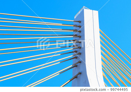 懸索橋主塔（塔柱）及拉索（撐桿） 99744495