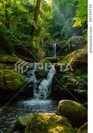 tiny waterfall in forest with green environment 99744734