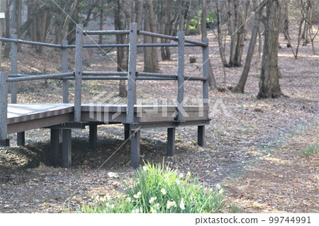 等待春天的水仙花長廊三神山 等待春天的水仙花長廊三神山 99744991