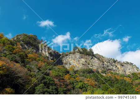 岐阜縣川邊町富山 99745165