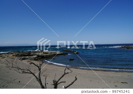 Miura City Mt.Fuji view spot and tropical Araihama coast 99745241