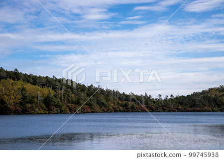 Shirakomakike秋葉 Shirakomakike秋葉 99745938