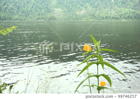 mountain lake beautiful and remote beaches 99746257