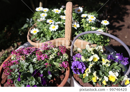 flower arrangement & flower arrangement flower arrangement & flower arrangement 99746420