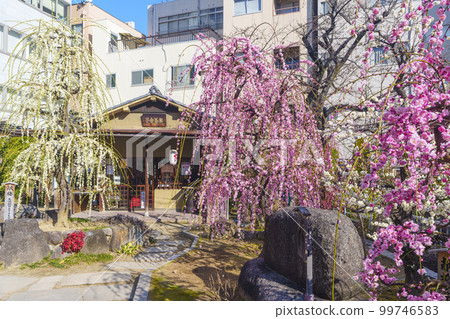 Hoshiai Chaya Udon Soju Hoshiai Chaya Udon Soju 99746583