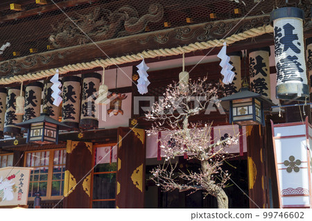 Osaka Tenmangu Shrine Main Hall, plum blossom season (Tenjinbashi, Kita Ward, Osaka City) Osaka Tenmangu Shrine Main Hall, plum blossom season (Tenjinbashi, Kita Ward, Osaka City) 99746602