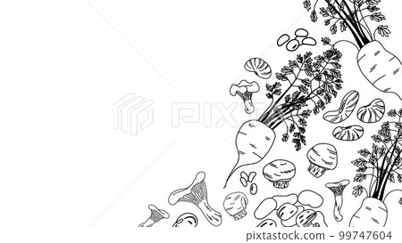 Vegetable rectangular banner with a layout of roots and mushrooms on a white background in lineart. 99747604