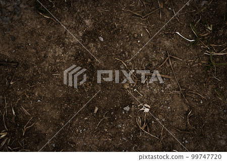 Dry twigs on the ground. Small branch falls on the dark brown ground. Dry twigs on the ground. Small branch falls on the dark brown ground. 99747720