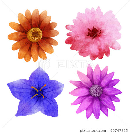 Flowers set in watercolor style isolated on white background. 99747825