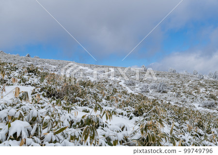 Fujimidai plateau in snow 99749796