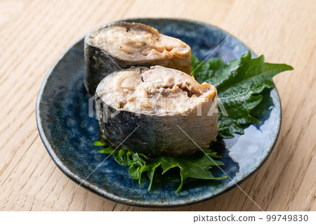 煮鯖魚罐頭鯖魚圖像素材 煮鯖魚罐頭鯖魚圖像素材 99749830