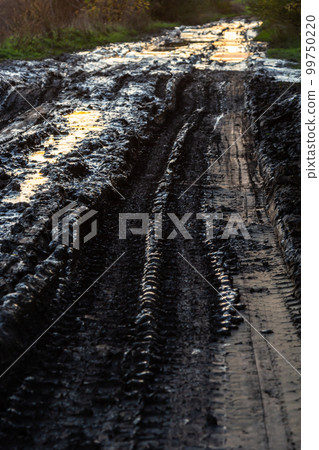 Vanishing dirt road with deep rut and puddles in village at sunset 99750220