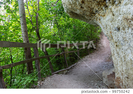 Long trail equipped with gravel steps and wooden handrail for tourists in sunny summer forest. Empty hiking path in Nature park reserve. Long trail equipped with gravel steps and wooden handrail for tourists in sunny summer forest. Empty hiking path in Nature park reserve. 99750242
