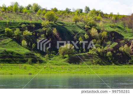 View of the Dniester River in spring. The river surrounds the mountain slopes covered with lush, bright green vegetation 99750281