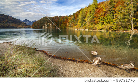Alpsee Lake, Ostallgau, Germany 99751770