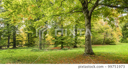 Englischer Garten Public Park, Munich, Germany Englischer Garten Public Park, Munich, Germany 99751973