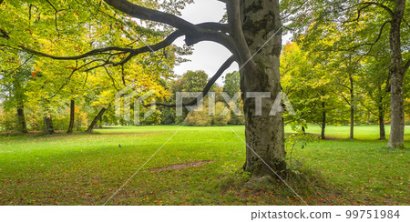 Englischer Garten Public Park, Munich, Germany 99751984