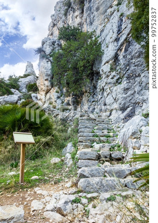Stairs on a mountain path in El Chorro, Spain Stairs on a mountain path in El Chorro, Spain 99752837