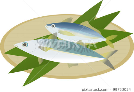 竹莢魚鯖魚 竹莢魚鯖魚 99753034