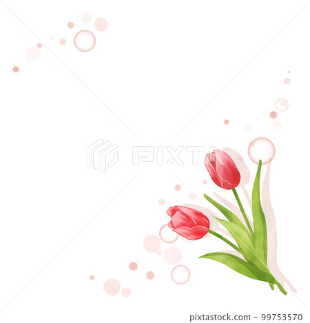 簡約可愛鬱金香相框(方形) 簡約可愛鬱金香相框(方形) 99753570