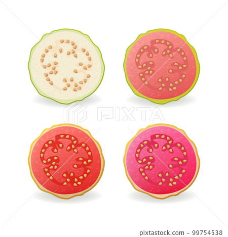 Sliced raw and ripe Guava fruits set vector illustration. 99754538