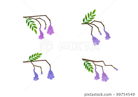 Flowers, buds and leaves on the branches set. Flowers, buds and leaves on the branches set. 99754549