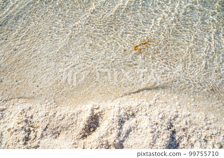 貝殼海灘的美麗海浪 貝殼海灘的美麗海浪 99755710