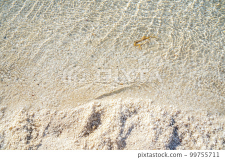 貝殼海灘清澈的海水 貝殼海灘清澈的海水 99755711