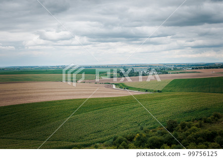 Beautiful landscape. Field of wheat and corn Beautiful landscape. Field of wheat and corn 99756125