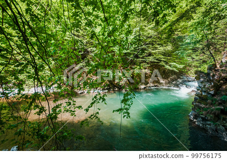 Blue Lagoon, mountain river among the rocks in the forest 99756175