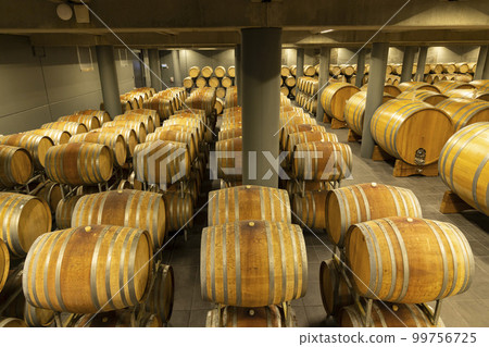 wine cellar full of wooden barrels in Barolo, Piedmont, Italy 99756725