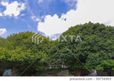 日本最長的佐田岬 日本最長的佐田岬 99756903