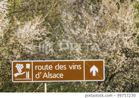 Wine road near Colmar, Alsace, France Wine road near Colmar, Alsace, France 99757230