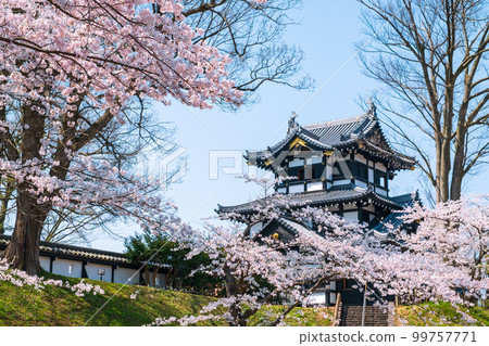 Takada Castle Ruins Park (Spring) 99757771
