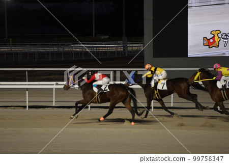 名古屋賽馬場夜賽 99758347