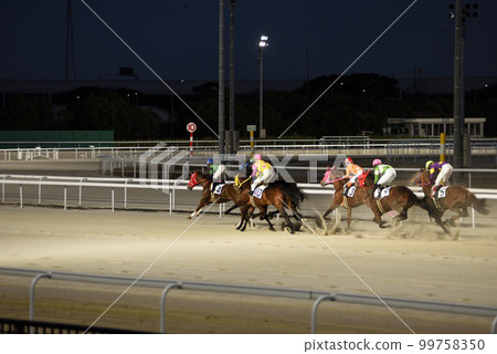 名古屋賽馬場夜賽 名古屋賽馬場夜賽 99758350