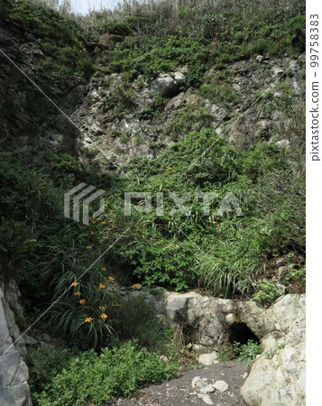 Arasaki Coast 99758383