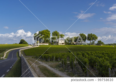 Typical vineyards near Chateau Pichon Longueville Comtesse de Lalande, Bordeaux, Aquitaine, France Typical vineyards near Chateau Pichon Longueville Comtesse de Lalande, Bordeaux, Aquitaine, France 99758610
