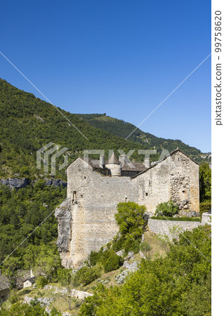 Gorges du Tarn, Occitania region, Aveyron department, France Gorges du Tarn, Occitania region, Aveyron department, France 99758620