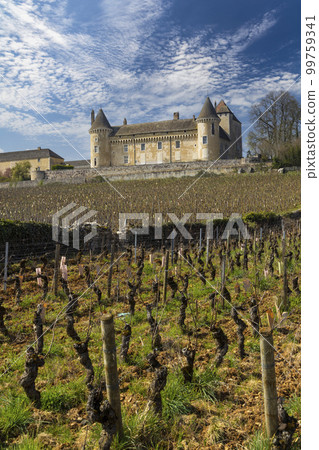 Chateau de Rully castle, Saone-et-Loire departement, Burgundy, France 99759341