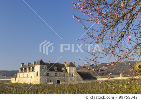 Clos de Vougeot castle, Cote de Nuits, Burgundy, France Clos de Vougeot castle, Cote de Nuits, Burgundy, France 99759342