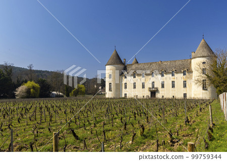 Savigny-les-Beaune castle (Chateau de Savigny-les-Beaune), Cote de Nuits, Burgundy, France 99759344