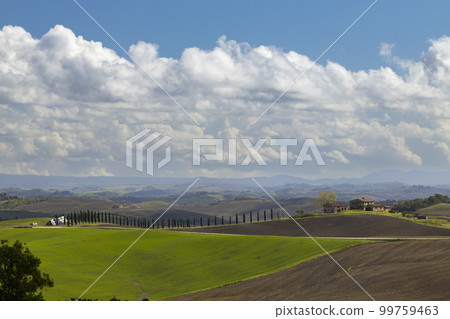 Typical Tuscan landscape near Siena, Tuscany, Italy 99759463