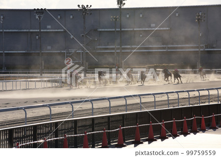 Public Nagoya Racecourse 99759559