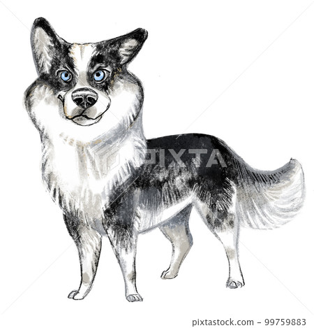 Cute Yakutian Laika dog character funny cartoon illustration 99759883