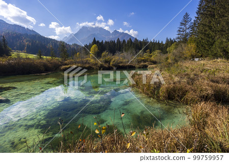 Autumnal landscape in Zelenci, Slovenia 99759957