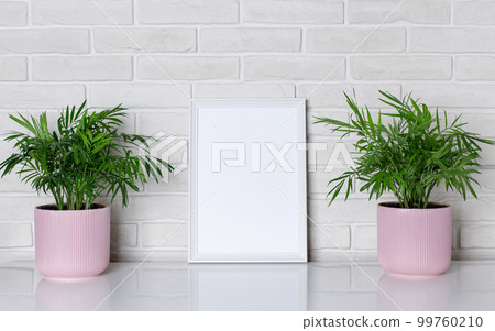 blank white frame and house plant in pink flowerpots on a shelf  99760210
