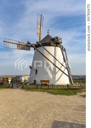 Vineyard near Windmill Retz, Lower Austria, Austria Vineyard near Windmill Retz, Lower Austria, Austria 99760470