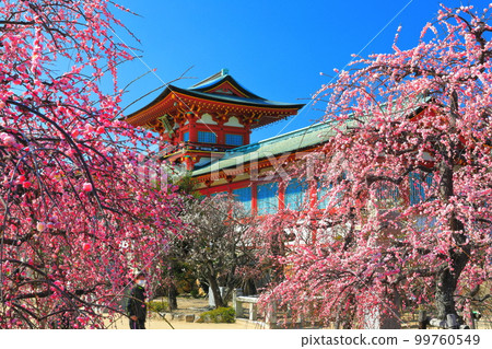 [山口縣]梅花節期間的防府天滿宮 99760549