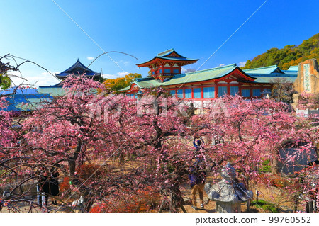 [Yamaguchi Prefecture] Hofu Tenmangu Shrine during the Plum Blossom Festival 99760552